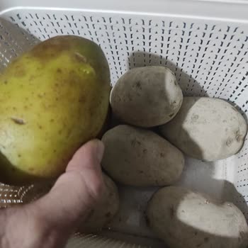 A101 Gıda Zehirlenmesi Yaşadım