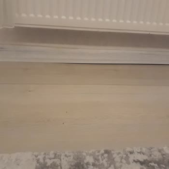 Marjinal Tasarım Tarafından Mağduriyetim