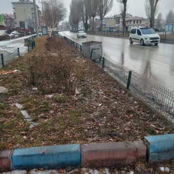 Erzurum Büyükşehir Belediyesi Palandöken Abdurrahman Sokak Köpeği