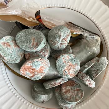 Grundig Buzdolabı Yiyecekleri Çürütüyor