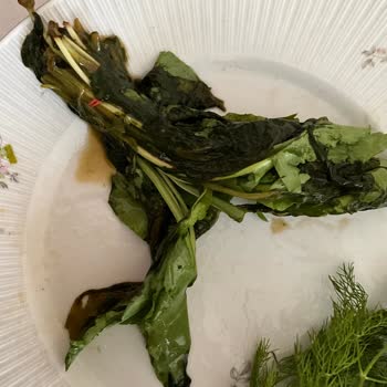 Grundig Buzdolabı Yiyecekleri Çürütüyor