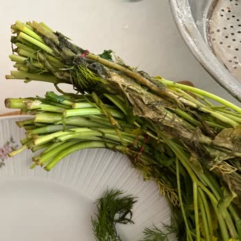 Grundig Buzdolabı Yiyecekleri Çürütüyor