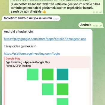 Ege Investing Yatırım Problemi: Zararın Telafisi Sorunu