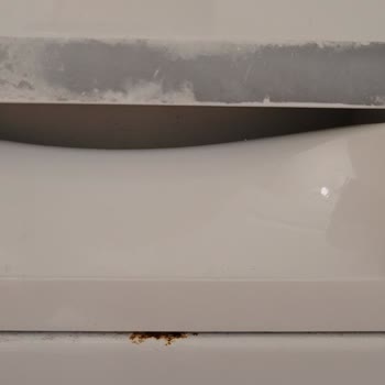 Bosch Paslanma Sorunu Olan Bulaşık Ve Çamaşır Makinesi