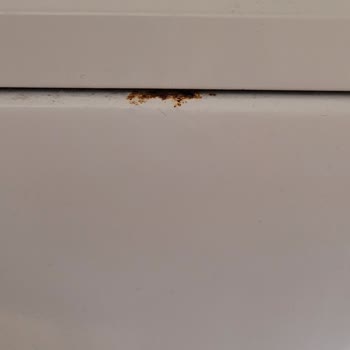 Bosch Paslanma Sorunu Olan Bulaşık Ve Çamaşır Makinesi