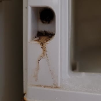 Bosch Paslanma Sorunu Olan Bulaşık Ve Çamaşır Makinesi