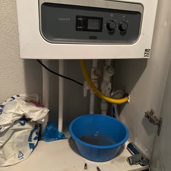 Warmhaus Ordu Altınordu Servisi