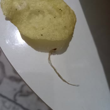 Lays Cipsten Yabancı Cisim