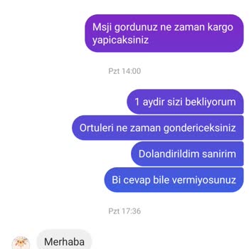 Diva Home Tekstil (diva_home_tekstil) Diva Home'dan Koltuk Örtüsü Hüsranı