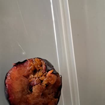 Yemeksepeti Market İş Ahlakı Sıfır