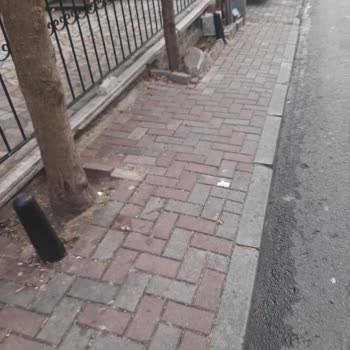 Bayrampaşa Belediyesi Zabıta Müdürlüğü İşini Yapmıyor