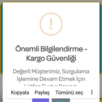 E-ticaret Marka Taklidiyle Dolandırıcılık PTT Kargo Takip Sitesi Formatında Yanıltmaca