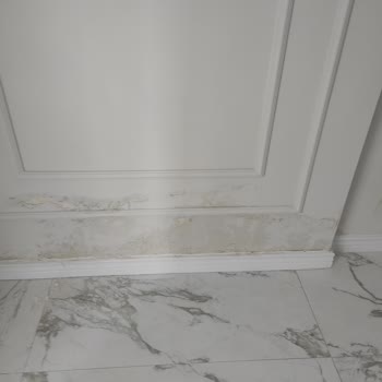 Vestel İn Akla Ziyan Mağduriyet Oluşturması