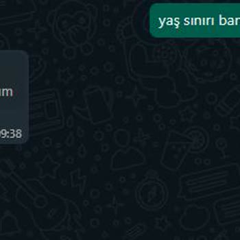 Bankacılık Düzenleme ve Denetleme Kurumu Birevim Araç Km Sınırı Hk