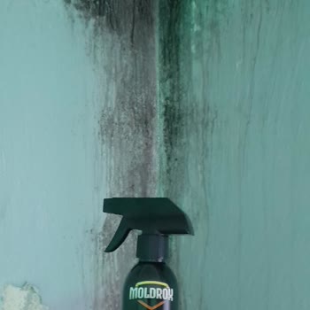 Moldrox Hiçbir Faydası Yok