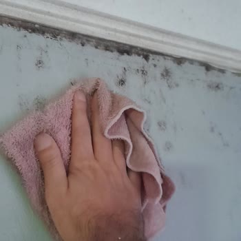 Moldrox Hiçbir Faydası Yok