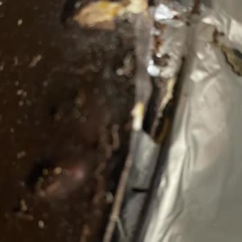 Nestle Çikolatada Karşılaşılan Kalite Sorununa İlişkin Şikayet