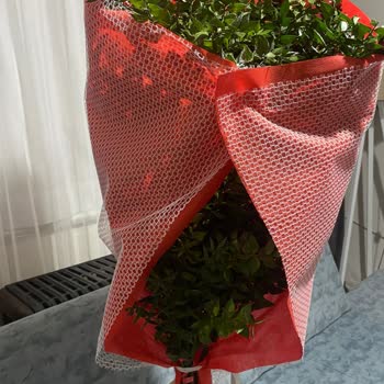 Çiçek Sepeti Görsele Uymayan Çiçek Gönderimi