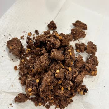 Eti Gıda Burçak Kalitesizliği Bu Nedir