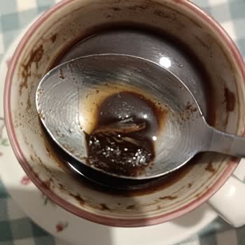 Tchibo Türk Kahvesi İçinden Çıkan Böcek