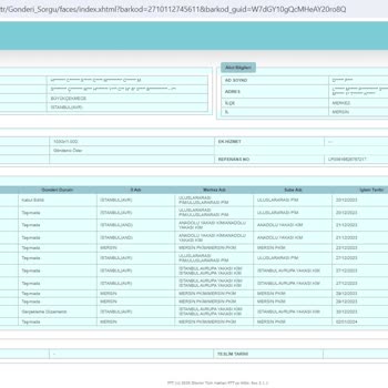 PTT Kargo Uluslararası Kargo İşlemlerinde Yaşanan Sorunlar Ve Çözüm Önerileri