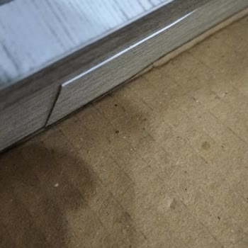 Canisa Hatalı Eksik Ve Defolu Ürün