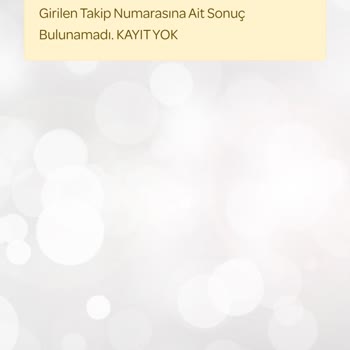 PTT Kargo Takip Numarası Sorunu