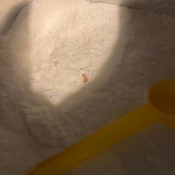 Hepsiburada Ve Aptamil Mamadan Canlı Kurt Çıktı