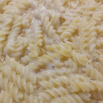 Oba Makarna Oba Marka Makarna Böceklenme