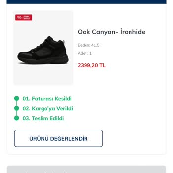 Skechers Pişmanlıktır, 1 Aylık Ayakkabı
