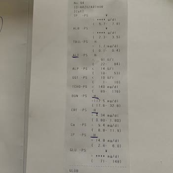 Avcılar Fatih Hayvan Hastanesi Yaşadığımız Olumsuz Deneyim