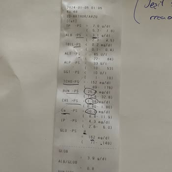 Avcılar Fatih Hayvan Hastanesi Yaşadığımız Olumsuz Deneyim