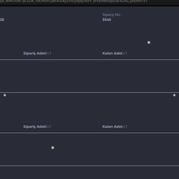 Fiberpin Oyun İçi Satın Alma Problemi!