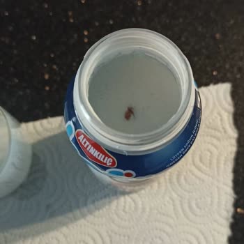 Altınkılıç Markalı Kefir Hakkında