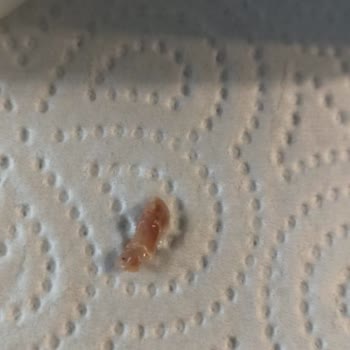 Altınkılıç Markalı Kefir Hakkında