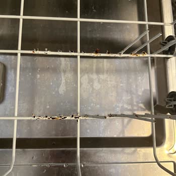 Arçelik Bulaşık Makinesi Kopan Teller