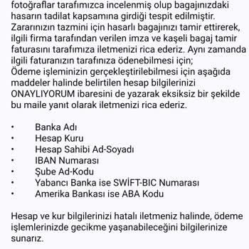 Pegasus Bagaj Hasarı, İlgisizlik