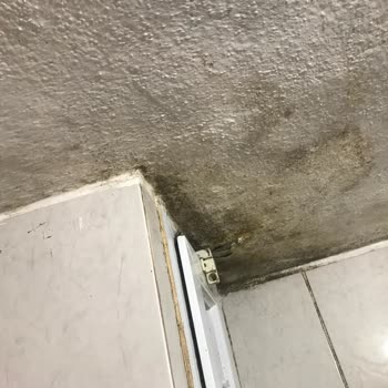Sompo Sigorta Evimdeki Su Kaçağı Sorunu Ve Sigorta Şirketinin Tutumu