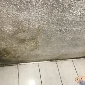 Sompo Sigorta Evimdeki Su Kaçağı Sorunu Ve Sigorta Şirketinin Tutumu