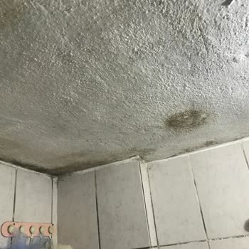 Sompo Sigorta Evimdeki Su Kaçağı Sorunu Ve Sigorta Şirketinin Tutumu