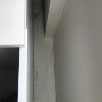 Sompo Sigorta Evimdeki Su Kaçağı Sorunu Ve Sigorta Şirketinin Tutumu