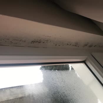 Sompo Sigorta Evimdeki Su Kaçağı Sorunu Ve Sigorta Şirketinin Tutumu