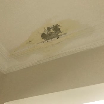 Sompo Sigorta Evimdeki Su Kaçağı Sorunu Ve Sigorta Şirketinin Tutumu