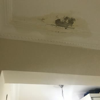 Sompo Sigorta Evimdeki Su Kaçağı Sorunu Ve Sigorta Şirketinin Tutumu