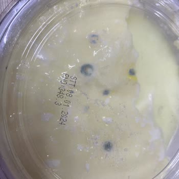 Arslan Süt Mamülleri Tarihi Gelmeden Küflenen Yoğurt