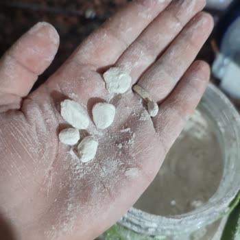 Sinangil Gıda Bozuk Un Skandalı Ve Sağlık Tehlikesi