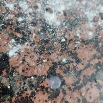 Sinangil Gıda Bozuk Un Skandalı Ve Sağlık Tehlikesi