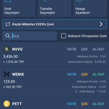 Bitexen Müşteri Mağduriyeti: Hizmet Kusurları
