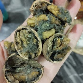 Migros Küflü Ceviz Satıyor