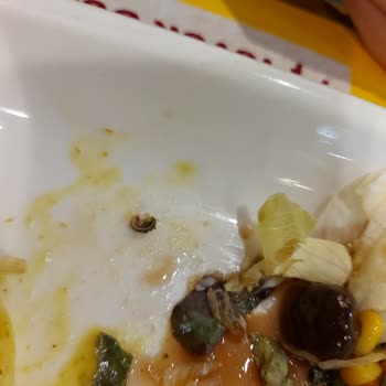 Tavuk Dünyası Denizli Şubesinin Yenilmeyecek Ürünler Çıkarması